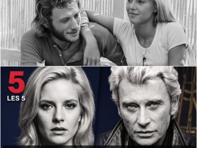 Amour, Gloire et Déchirure : La Véritable Histoire de la Chute du Couple Mythique Johnny Hallyday et Sylvie Vartan
