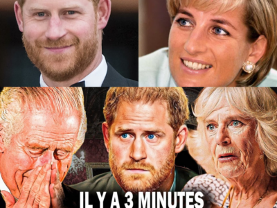 Séisme à Buckingham : Les Résultats du Test ADN du Prince Harry Remettent en Cause sa Filiation avec le Roi Charles III