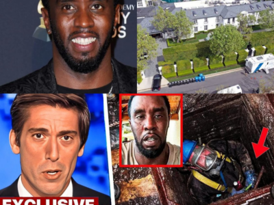 L’Empire S’effondre : Les Perquisitions Fédérales Révèlent les Sombres Secrets de Sean “Diddy” Combs