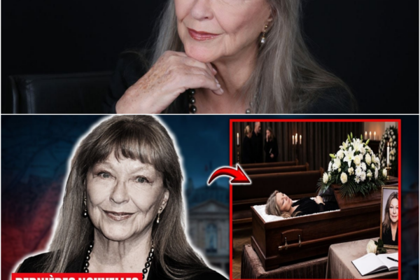 Marina Vlady : La Fin d’une Époque, le Destin Tragique et Lumineux de la “Princesse de Clèves”